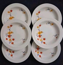 Piatti fondi porcellana usato Piatti fondi porcellana usato  Soliera