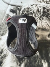 Curli cord hundegeschirr gebraucht kaufen  Gaggenau