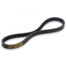 Cinghia special belt usato  Italia