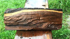 Black walnut blank for sale  Head Waters