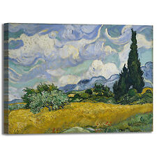 Van gogh campo usato  Vercelli