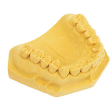 House brand dentistry for sale  Pennington