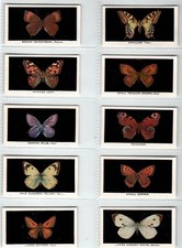 Abdulla british butterflies for sale  WITHAM