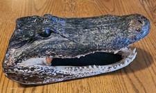Vintage alligator taxidermy for sale  Oregon City