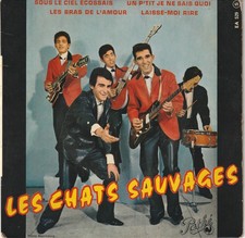 Tours chats sauvages d'occasion  Maignelay-Montigny