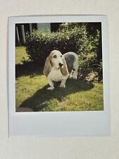 Vintage photograph bassett for sale  Burlington