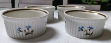Ramequins porcelaine pillivuyt d'occasion  Concarneau