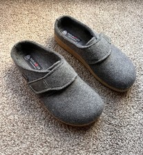 Haflinger grey pure for sale  BURTON-ON-TRENT