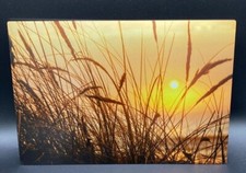 Metal art photo for sale  Roseburg