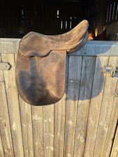 Show saddle like for sale  SALISBURY