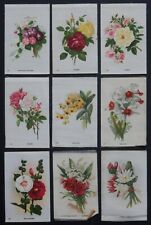 Garden flowers 1913 for sale  NORTHAMPTON