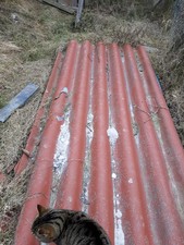 Eternit wellplatten 10 gebraucht kaufen  Saldenburg