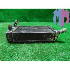 Radiatore acqua fantic usato  Napoli