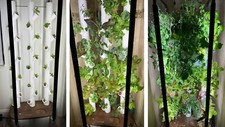 aquaponics tank systems for sale aquaponics tank systems for sale Portland