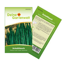 Schnittlauch medium leaf gebraucht kaufen  Pulheim