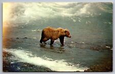 Postcard alaskan brown for sale  Factoryville