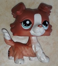 Petshop chien colley d'occasion Petshop chien colley d'occasion  France