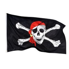Piraten flagge fahne gebraucht kaufen  Kirchzarten