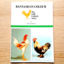 Bantams colour gold for sale  GOOLE