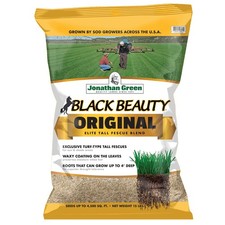 Black beauty tall for sale  USA