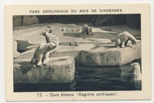 OURS BLANC URSUS MARITIMUS POLAR BEAR ZOO DE VINCENNES IMAGE CARD 1950'S 1, używany na sprzedaż  Wysyłka do Poland