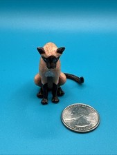 2005 dollhouse kitten for sale  Helena