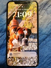 Iphone 256gb color usato  La Spezia