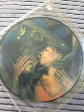 Picture disc vinyl gebraucht kaufen  Berkenthin