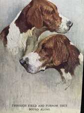1943 postcard fox for sale  SIDMOUTH