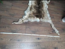 Rentierfell dekoration gebraucht kaufen  Antrifttal