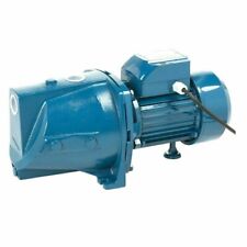 Gartenpumpe wasserpumpe 1500 gebraucht kaufen  Görlitz