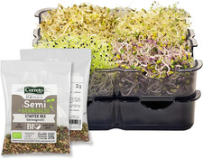 Starter kit germogliatore usato  Roma