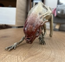 Aliens queen chestburster gebraucht kaufen  Eitorf