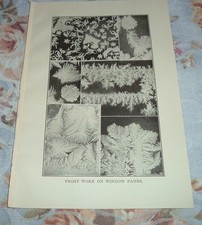 Vintage 1919 frost for sale  Erie