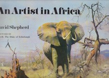 Artist africa david for sale  UK