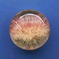 Vintage paperweight hafod for sale  MILTON KEYNES