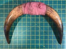 Vintage cow horns for sale  UXBRIDGE