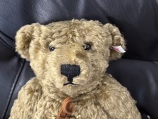 bear hot water bottle for sale bear hot water bottle for sale DORCHESTER
