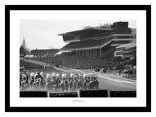 Champion day cheltenham for sale  FARNHAM