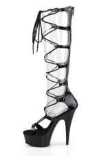 Pleaser delight 698 gebraucht kaufen  Dessau-Roßlau