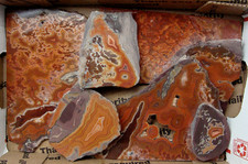 dryhead agate for sale  Green Bay