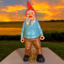 Heissner gnome terra d'occasion  Expédié en Belgium