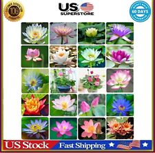 Pcs bonsai lotus for sale  San Francisco
