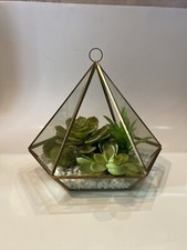 Faux succulent plants for sale  Alpine