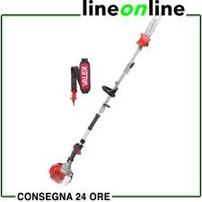 Potatore telescopico scoppio usato  Bibbiena