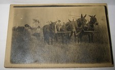 1900s froutt family for sale  Saint Peters