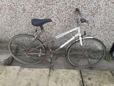 raleigh 20 girls bike for sale  NOTTINGHAM