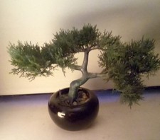 Black potted artificial for sale  UK