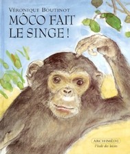 Moco singe boutinot d'occasion Moco singe boutinot d'occasion  Hennebont