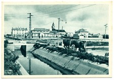 Citta mussolini mussolinia usato  Perugia
